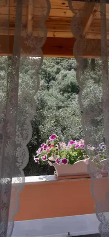 Armonia Apartments Corfu (city) Exterior foto
