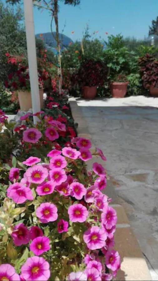 Armonia Apartments Corfu (city) Exterior foto
